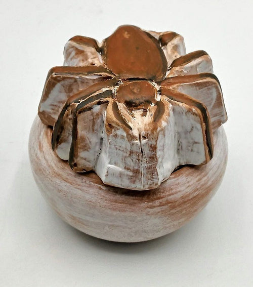 Cajita Sigilatas Araña