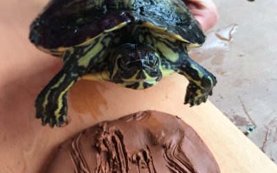 ¿Quieres que tu mascota deje huella?